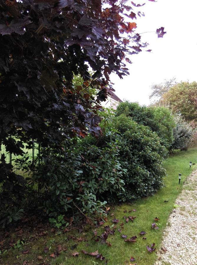 Ode Au Bonheur St Georges Sur Cher Saint-Georges-sur-Cher Exterior foto